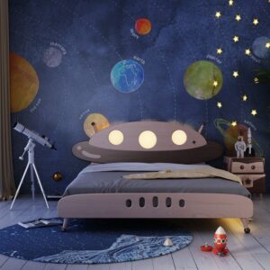 UFO bed 4