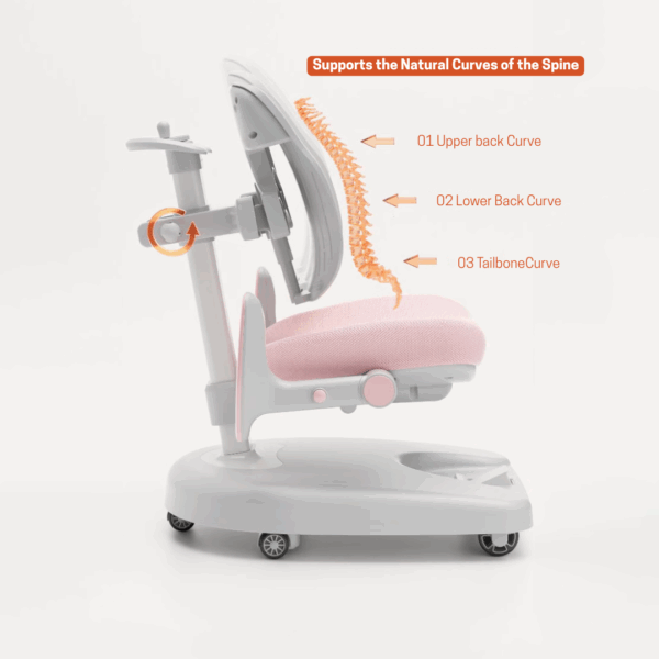 Noto Adjustable Study Chair - (Pink & Blue) - Image 8